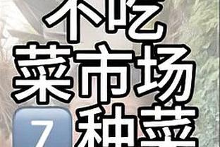 勒沃库森vs波鸿首发：扎卡、希克、博尼法斯出战